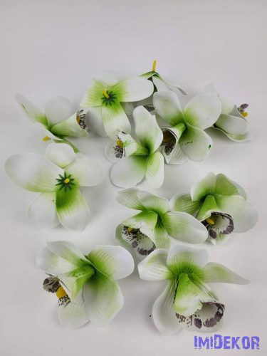 Orchidea polifoam fej 10 cm - Zöldes-Krém