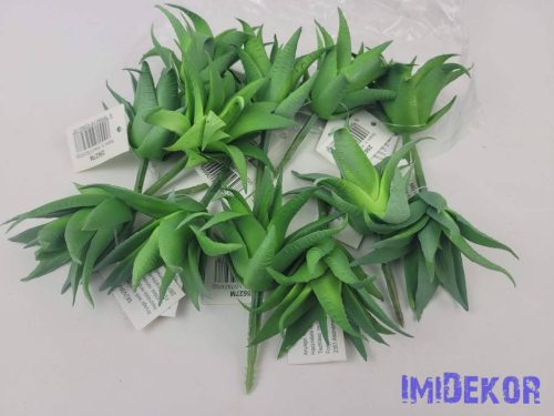 Aloe vera gumis pozsgás 8,5 cm - Zöld