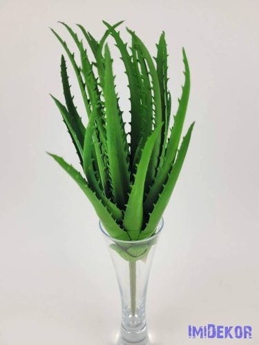 Aloe vera enyhén gumis 31 cm - Zöld