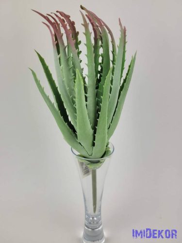 Aloe vera enyhén gumis 31 cm - Hamvas