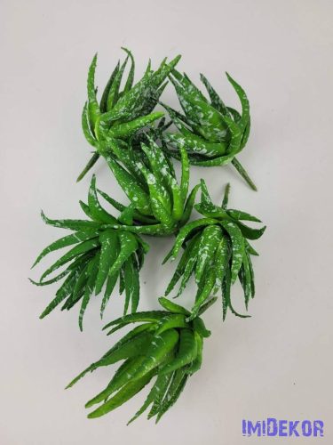 Aloe vera gumis pozgás 10 cm - Foltos Zöld