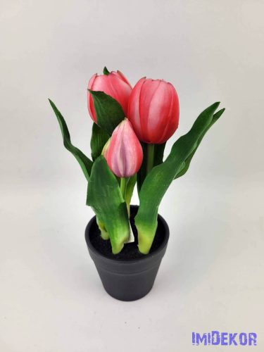 Cserepes gumi tulipán 2+3 fejes 23 cm - Sötét Rózsaszín