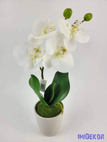 Cserepes gumi orchidea 39 cm - Fehér