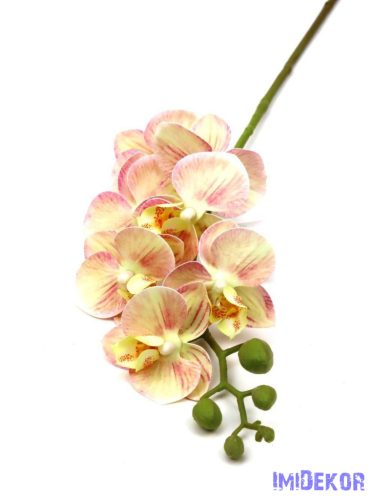 Orchidea szálas művirág ág 63 cm - Cirmos Krém